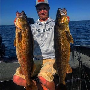 Meet your Posher, Bailey